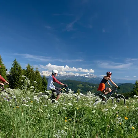 Chalet Abeille Les Gets