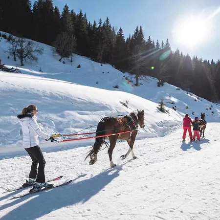 Abeille Chalet